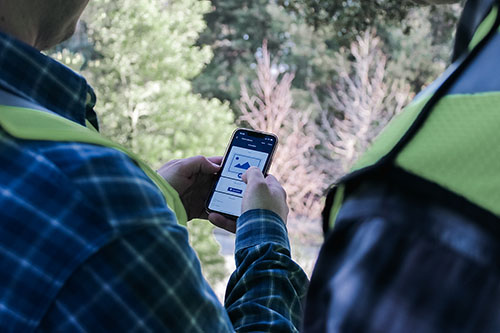 Field workers reviewing notes on a forestry site.