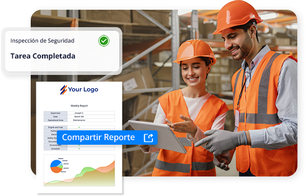 Safety Audits and Inspections